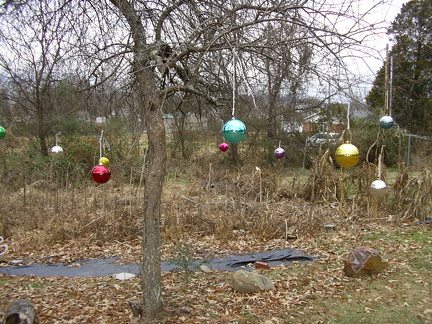 2005-12-12 009
